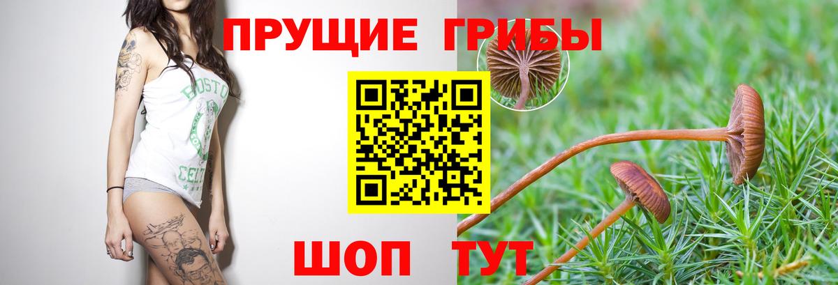 Псилоцибиновые грибы ЛСД Краснознаменск