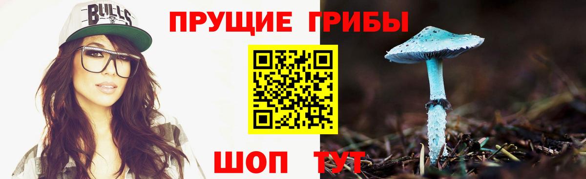 Галлюциногенные грибы GOLDEN TEACHER  Вход с VPN  Краснознаменск  Псилоцибиновые грибы Cubensis 